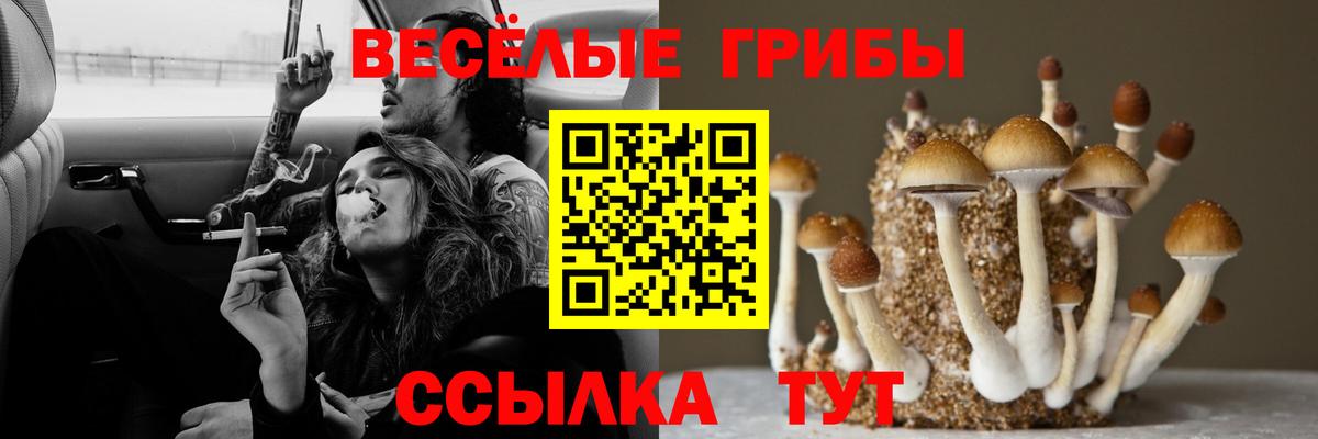 Верхний Уфалей  Псилоцибиновые грибы GOLDEN TEACHER  цена   Вход с VPN 